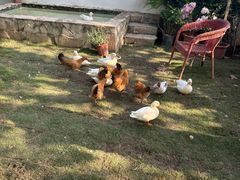 -HERRE·FARM 赫尔露营农场·团建聚会包场