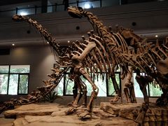 -自贡恐龙博物馆