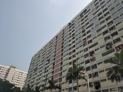 -彩虹村