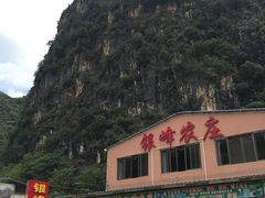 -银峰农庄·特色烧鸡·鲜无花果浸鸡