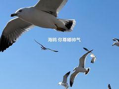 -星海广场