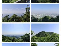 -杭州半山国家森林公园