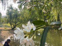 -蓝天路(地铁站)