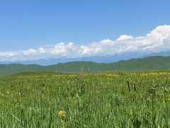 -新疆那拉提国家旅游度假区