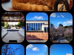 -中央民族大学