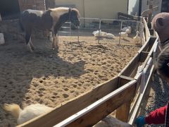 -HERRE·FARM 赫尔露营农场·团建聚会包场