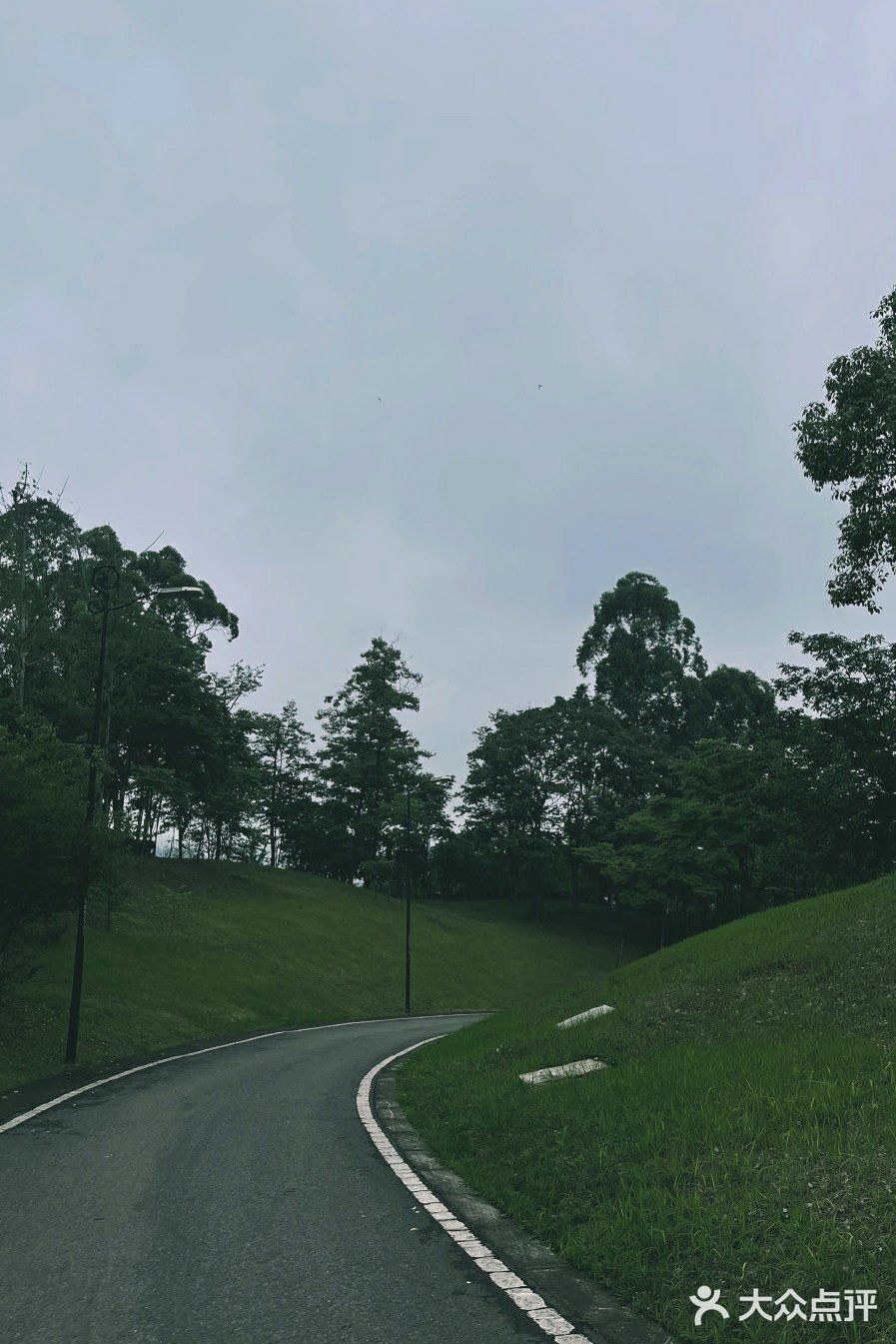 成都公园避暑，夏夜超级喜欢来成都露天音乐公园吹凉风。