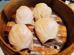 维园虾饺皇-维园悦谱·海派家常菜(乌鲁木齐南路店)
