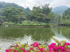 -广州市帽峰山景区