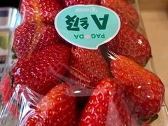 -百果园PAGODA(和泓四季店)