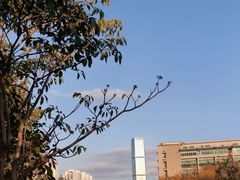 -福田红树林生态公园
