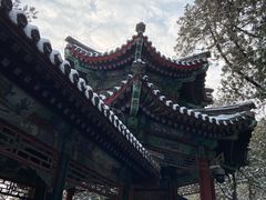 -颐和园