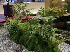 -世外桃源水疗会(皇庭彩园店)