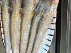 -众彩物流水产市场