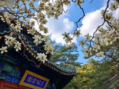 -潭柘寺景区