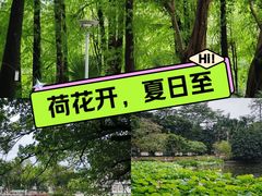 -荔湾湖公园