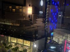 -新加坡乌节希尔顿酒店