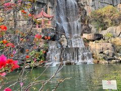 -金鸡山公园