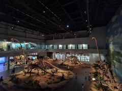 -自贡恐龙博物馆