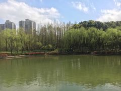 -黄兴公园