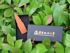 -华东政法大学(松江校区)