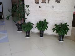 -浦发广场物业管理处