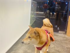 -MQ COFFEE STAND明谦(新洲店)