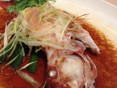 东星斑-陶陶居海鲜酒家(新马路店)