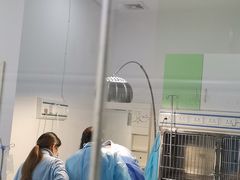 -汪喵宠物医院·骨科心脏影像·犬猫急重症ICU诊疗中心(成华分院)