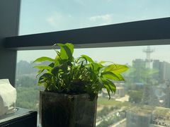 -唐猫庭院·千年陕菜(赛格国际购物中心店)