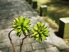 -石门洞景区