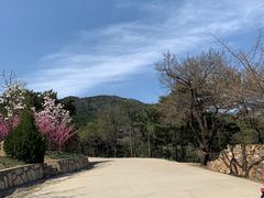 -北京西山国家森林公园