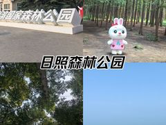 -日照海滨国家森林公园