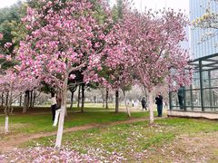 -天鹅湖体育公园