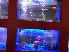 -东富酒家(龙湖西溪天街店)