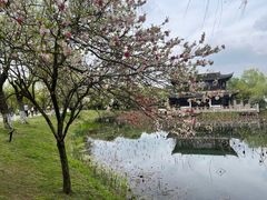 -沙家浜风景区