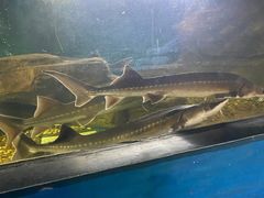 -泉州海丝野生动物世界