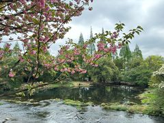 -贵阳市花溪国家城市湿地公园