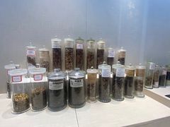 -广东中医药博物馆