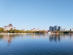 -莲花池公园