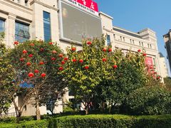 -新华书店(学府大道店)