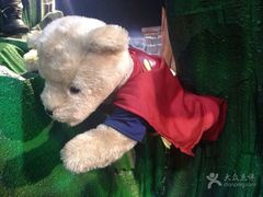 -济州岛泰迪熊博物馆