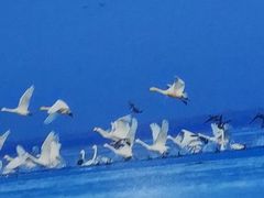 -天津古林古海岸遗迹博物馆