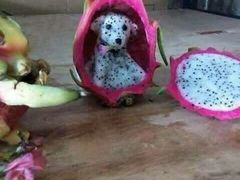 -杨国福麻辣烫(万达后街店)