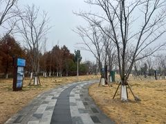 -澹台湖公园