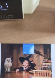 -七色田儿童摄影(静安店)