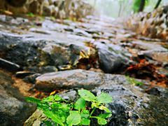 -阳台山自然风景区