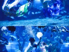 -南昌海洋公园