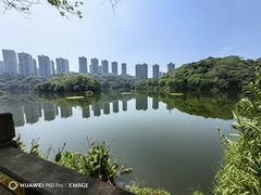 -重庆彩云湖湿地公园