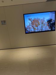 -上海时光整形外科医院
